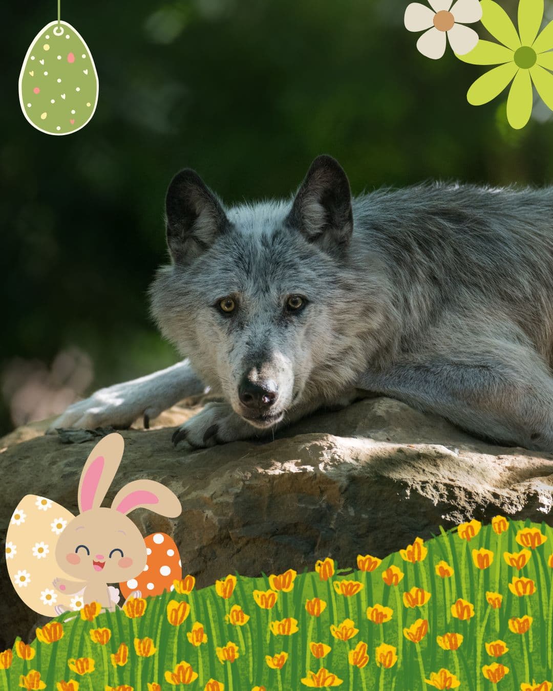 Pâques 2026 Parc Argonne Découverte