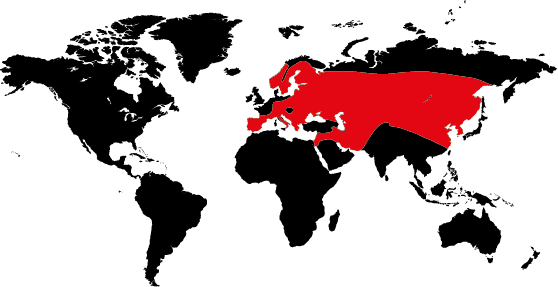Carte répartition grand-duc d'Europe