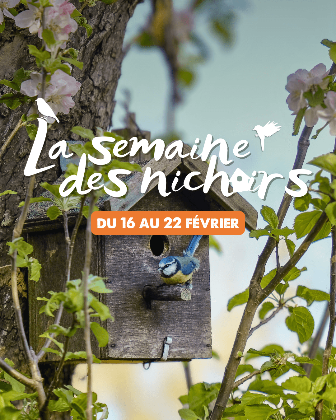 Semaine des nichoirs