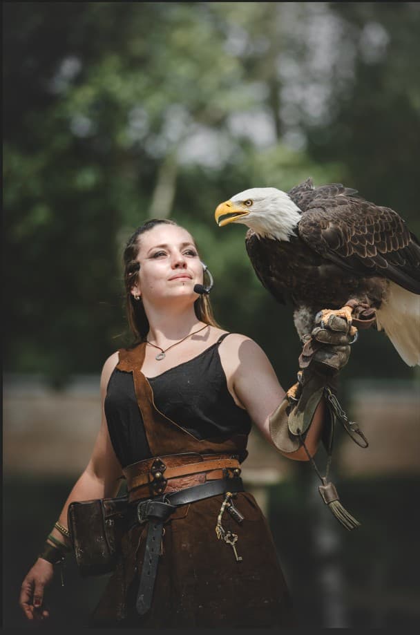 Vol des oiseaux vikings