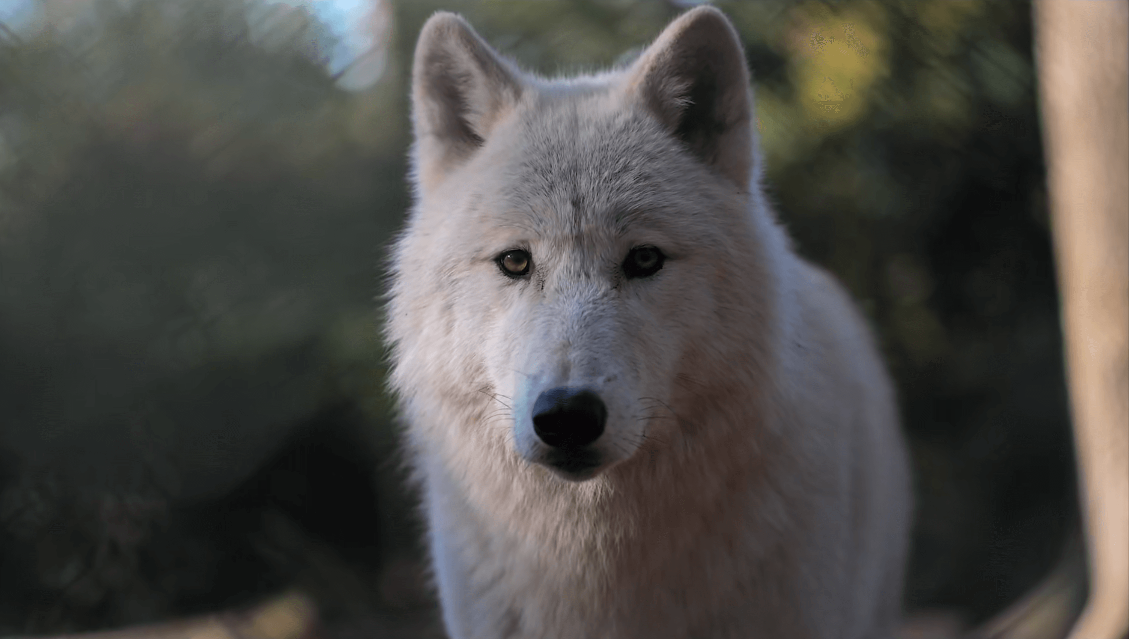 Informations Sur Le Parc Parc Argonne D couverte